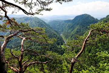 Pieniny - Trzy Korony and surroundings © Jacek 