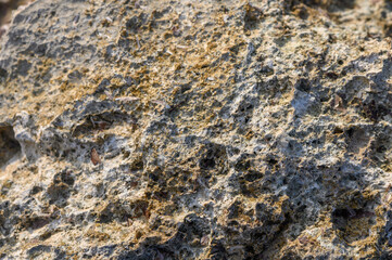 Intricate patterns form on a weathered rock surface in a serene natural landscape