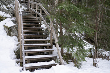 Snowy forest with a wooden staircase along a hiking path. Ideal for winter landscapes, tourism, and exploration visuals.