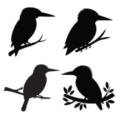 Kingfisher Silhouette vector illustration, bird on a branch vector art