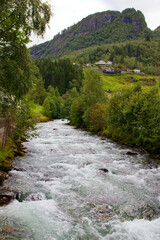 Vigorous water flows over rocks, embraced by lush greenery, creating a serene atmosphere.