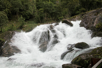 Vigorous water flows over rocks, embraced by lush greenery, creating a serene atmosphere.