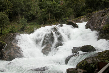 Vigorous water flows over rocks, embraced by lush greenery, creating a serene atmosphere.