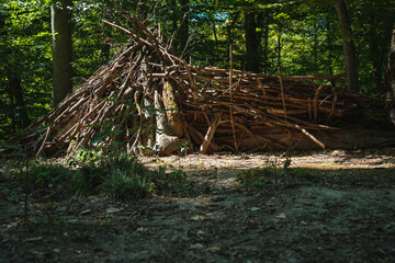 cabane en branchages dans le bois