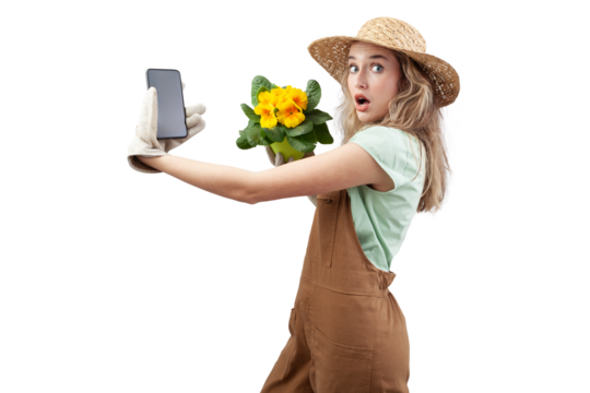 A astonished woman wearing gardening clothes, holding a pot with blooming yellow primrose flowers, isolated on a white background, shows a smartphone. Online flower shopping for spring and garden work