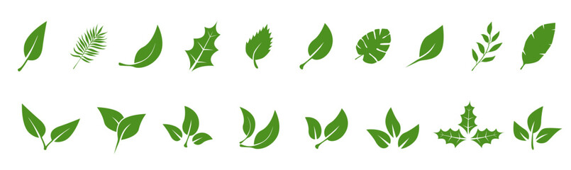 Leaves of trees and plants. Tropical leaves. Set of green leaf icons. Leaves on white background. Ecology. Vector illustration.