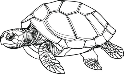 A simple coloring page line art illustration of an abstract turtle using simple shapes and lines on a white background for adults to color within the outlines 4.eps
