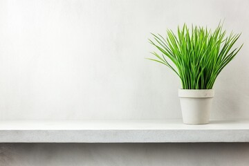 Fototapeta premium Minimalist composition with green plant on shelf against clean white background for design and presentation purposes