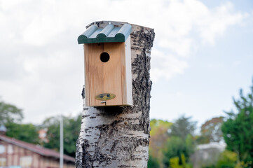 Birdhouse on a tree trunk. Concept of a private house and family.