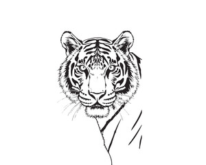 A black and white coloring page depicting a Tiger pattern with bold lines and a clean line art style against a white background, Vector illustration.