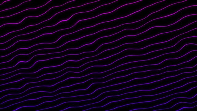 Puple and Blue Abstract Wavy Lines Moving on Black Background. Animated neon glowing lines and seamless looping motion background.
