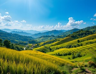 Naklejka premium Terraced rice fields in Southeast Asia