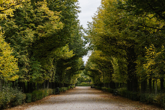 Schlosspark Sch&ouml;nbrunn, Vienna, Austria