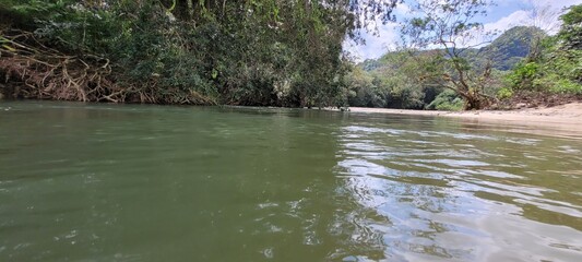 Naturaleza: selva fuente de vida