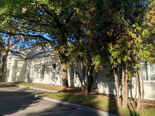 one-story building with a sloped metal roof surrounded by mature trees on a bright day. The calm scene evokes the harmony between man-made structures and nature, echoing environmental preservation