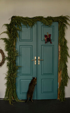 the cat opens the door decorated in Christmas style