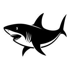 shark illustration