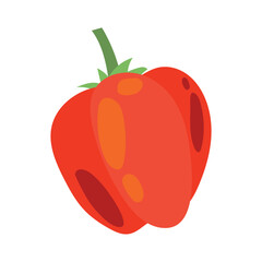 Juicy pepper. Paprika. Useful Vegetables. Harvest. Botanical illustration. Vector illustration