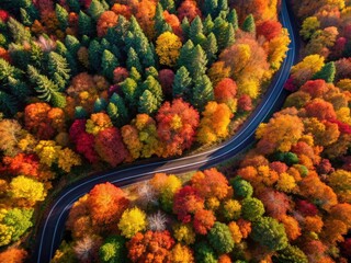 Stunning aerial shot of a fall foliage-lined highway, a picturesque autumn drive.