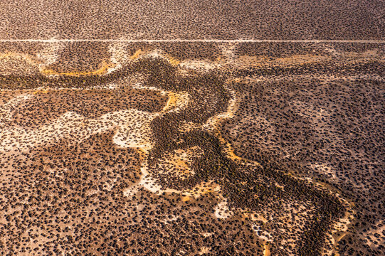 Patterns on dry salt plains of outback Australia.