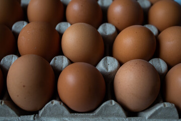 Brown chicken eggs in a paper tray close up