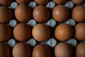 Brown chicken eggs in a paper tray close up