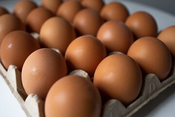 Chicken eggs in a paper tray close up