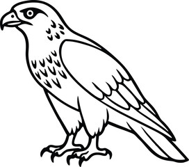 Vector illustration of Eagle Line Art for Children’s Book