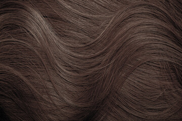 Brown hair close-up as a background. Women's long brown hair. Beautifully styled wavy shiny curls. Hair coloring. Hairdressing procedures, extension.
