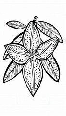 A stylized floral design with detailed patterns perfect for coloring pages or textile prints. Add a touch of nature to your projects.