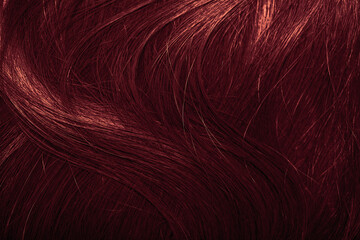 Fototapeta premium Dark red hair close-up as a background. Women's long brown hair. Beautifully styled wavy shiny curls. Coloring hair with bright shades. Hairdressing procedures, extension.