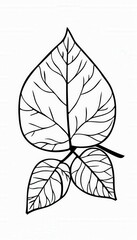 A stylized botanical drawing of three leaves. Suitable for nature-inspired designs, tattoos, or textile prints. Adds an elegant touch.