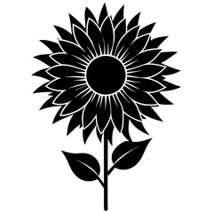 sunflower  silhouette vector illustrator