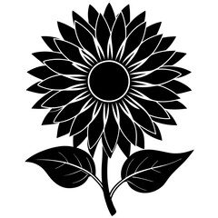 sunflower  silhouette vector illustrator