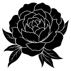 peony  silhouette vector illustrator