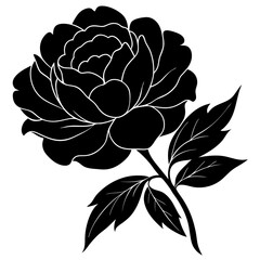 peony  silhouette vector illustrator