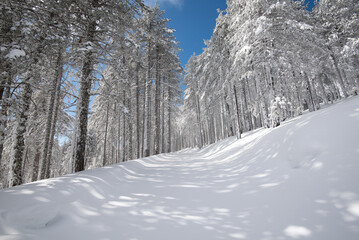Winter landscape in snowy mountain. frozen road through the forest