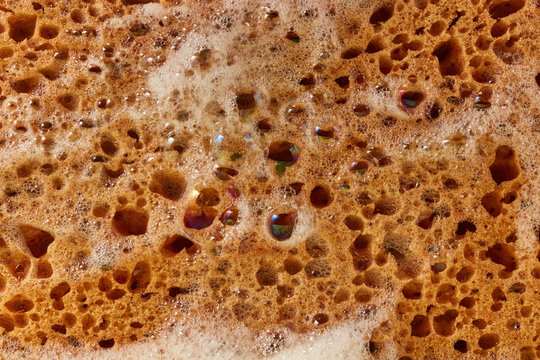 Close up of brown sponge covered in frothy soap bubbles