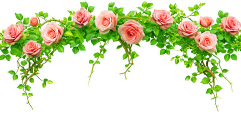 A decorative green arch adorned with leaves and flowers, perfect for weddings or garden events. Green Ivy decoration
