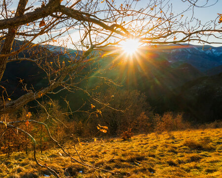 montagna,tramonto,inverno,rami,foglie,corniolo,sole,cielo,parco,