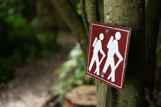 Hiking Trail Sign in Forest
