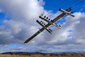 Broken Power Pole Dangling from Power Lines Powerlines Blue Sky