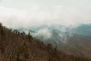 fog in the mountains
