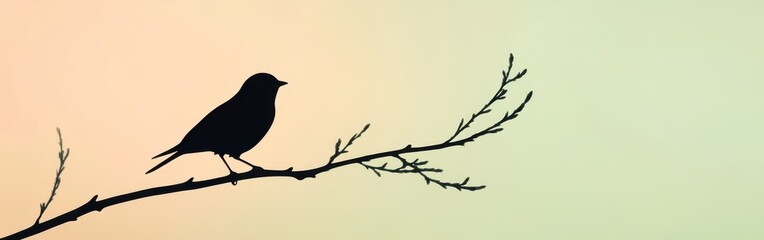 Silhouette of a bird perched on a branch during sunset against a soft colored background
