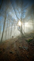 Fog2