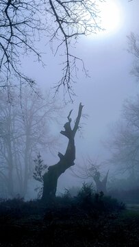 Fog5