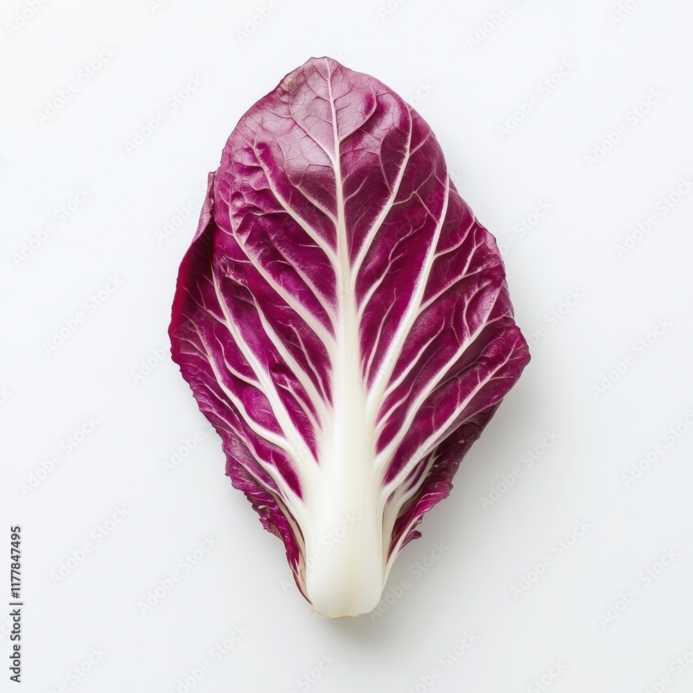 Poster fresh and vibrant radicchio leaf displayed against a clean background showcasing its intricate patte