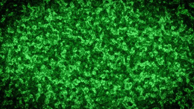 Jungle Forest Animated Plants Background (Customizable)