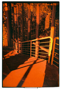 Captivating orange light filters through urban staircase design