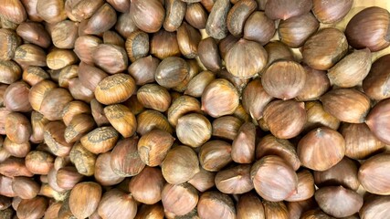 close up of a pile of chestnuts, Fort Worth, Texas, USA